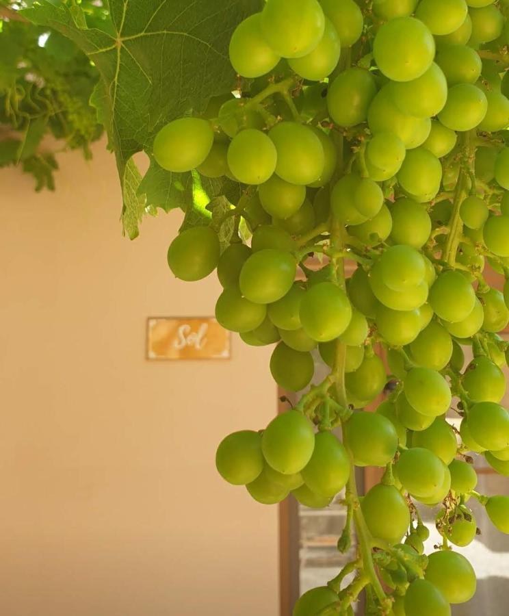 Premium Bed & Breakfast Casa Alegria Andaluza Los Romanes Exterior photo