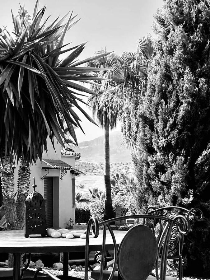 Premium Bed & Breakfast Casa Alegria Andaluza Los Romanes Exterior photo